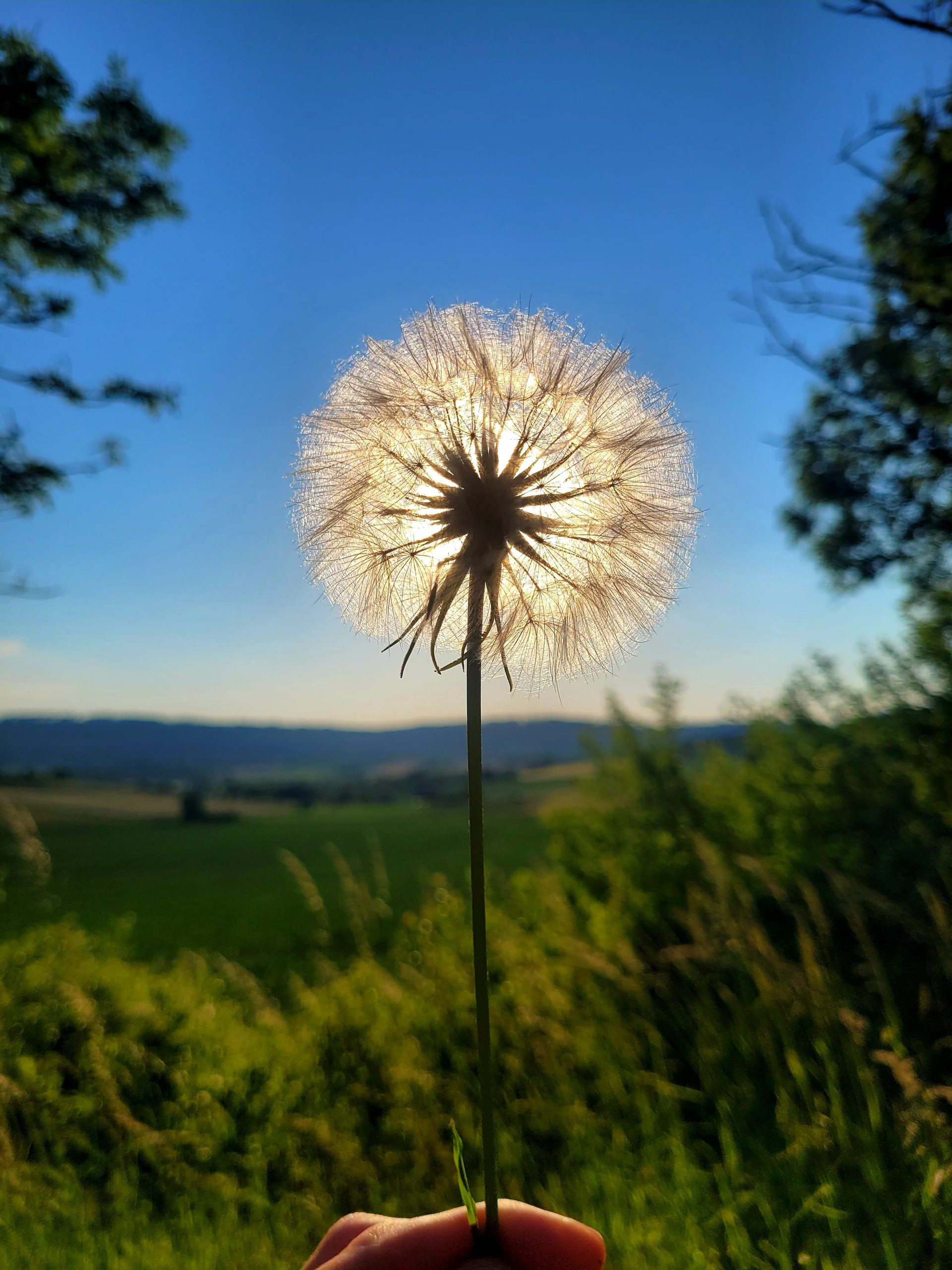 IMG-20250522-WA0005 IMG-20250522-WA0005