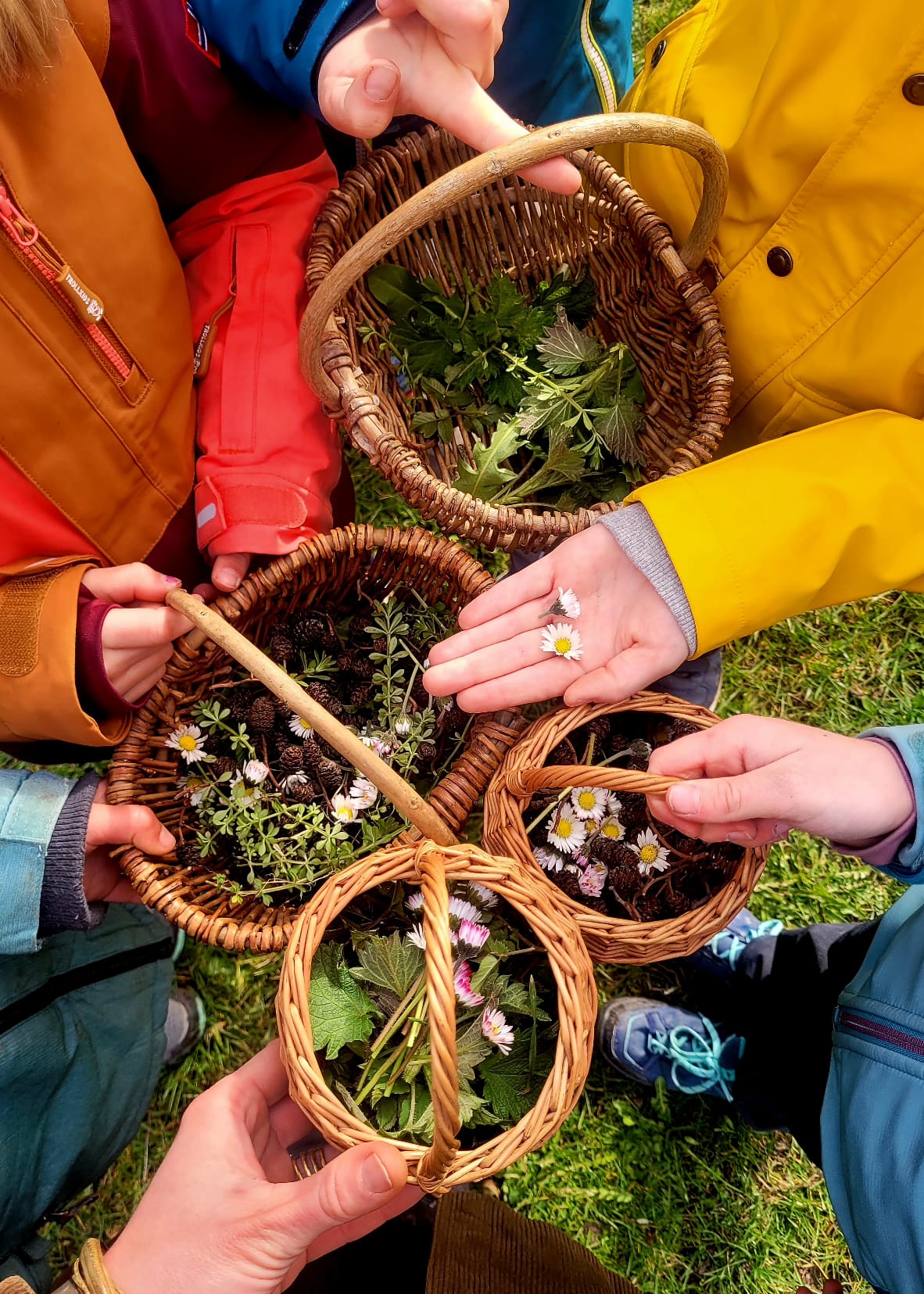 IMG-20250522-WA0008 IMG-20250522-WA0008