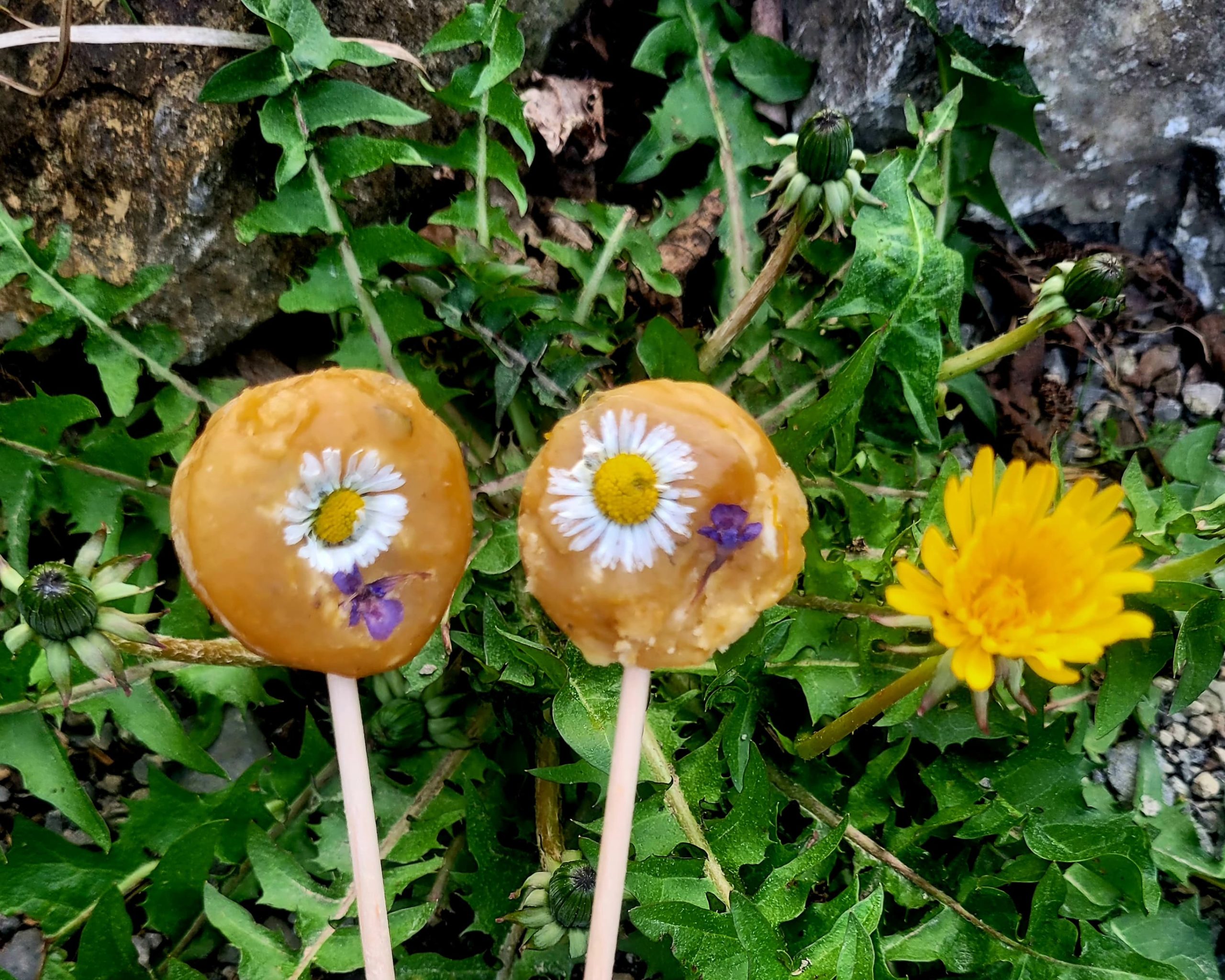 IMG-20250522-WA0012 IMG-20250522-WA0012